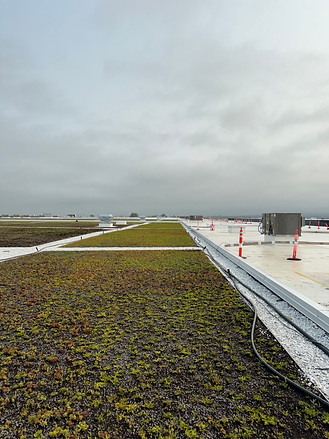 toit vert 1.HEIC.jpeg