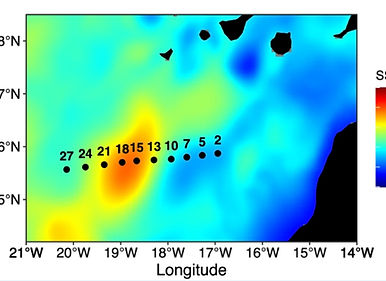 newsbuttons (14)_edited.jpg