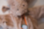 Giant MK Ultra Mind Control Rabbit