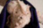 Giant MK Ultra Mind Control Rabbit