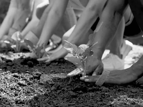 Rising Phoenix | Family Foundation