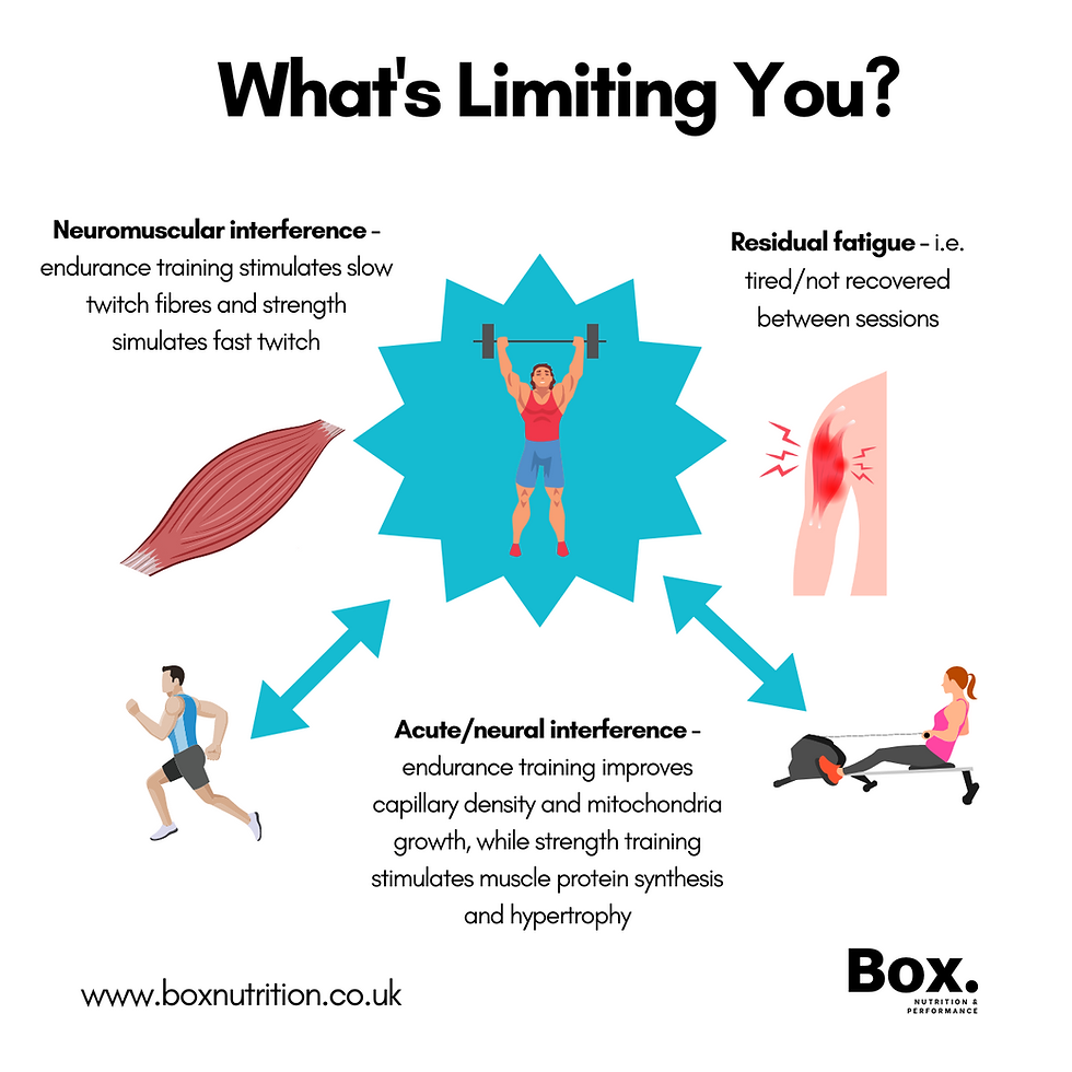 Hybrid Training How to Balance Strength and Running for Maximum Performance