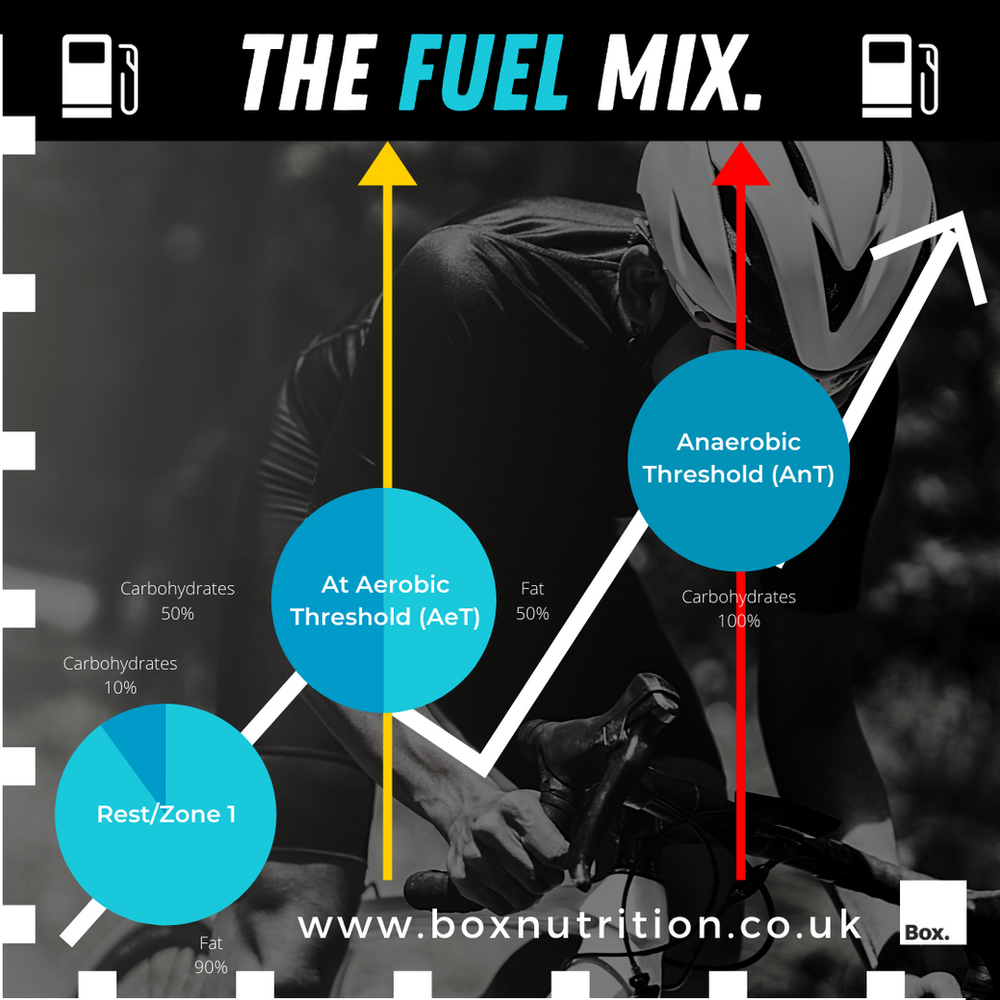 The Fuel Mix Fuelling for Endurance
