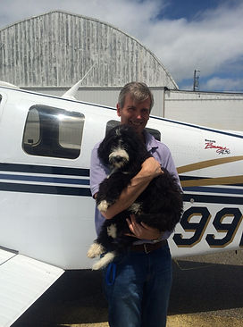 Bernedoodle puppy near plane