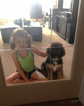 Bernedoodle puppy and little girl