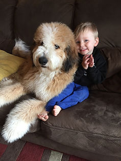 A boy and his dog