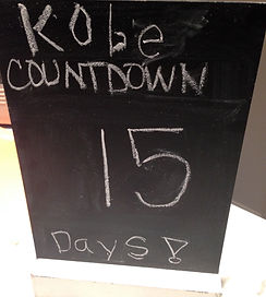 Countdown to get Bernedoodle