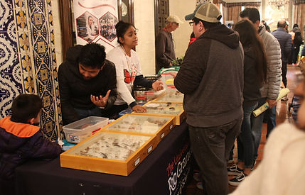 IMG_7085.JPG