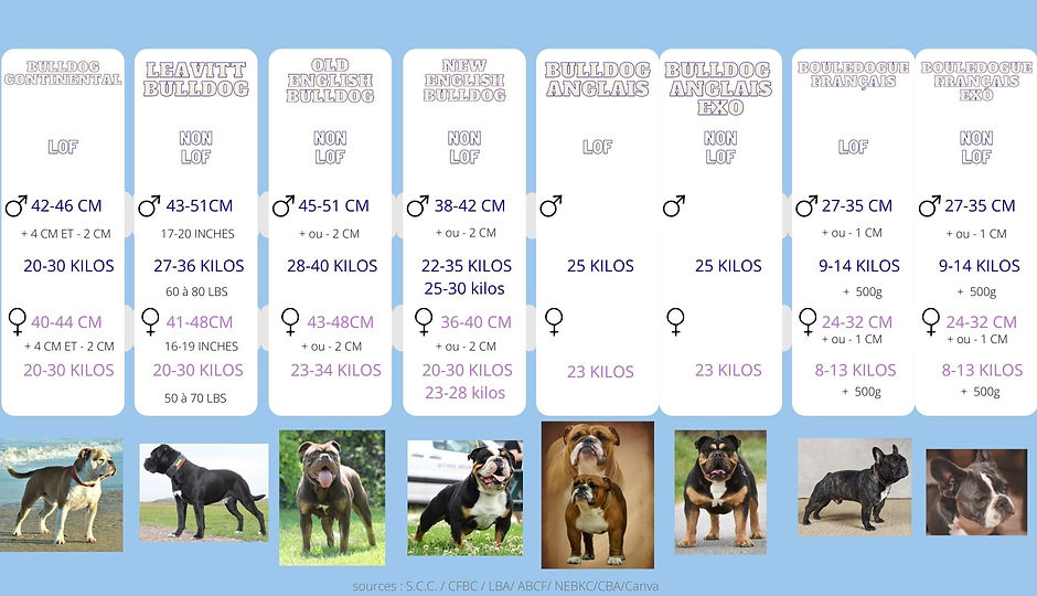 tab comparatif races bulldogs.jpg