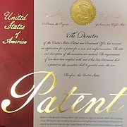 Patent Agent Bruce A. Lev logo