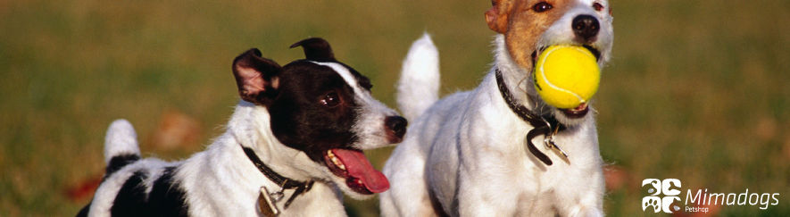 Juguetes para mascotas
