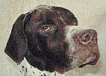 Dougal Cross Stitch