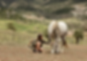 Screenshot 2024-04-28 190718.png