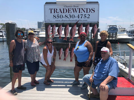 TradeWinds Charter Fishing Trip Snapper
