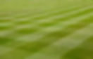 turf.jpg
