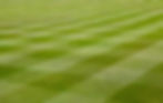 turf.jpg