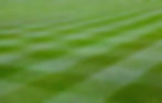 turf_edited.jpg