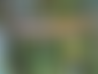 今週のクラス情報です