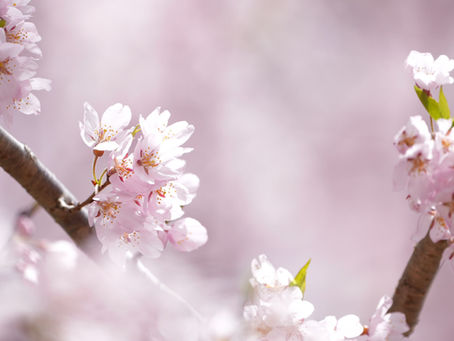 今週のクラス情報です