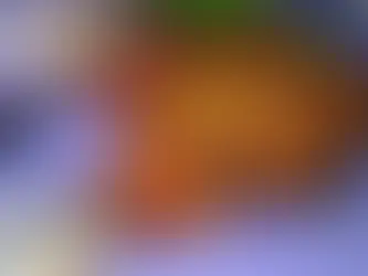 Best Restaurants in Pedda Amberpet Hyderabad: Discover the Vintage Dining Experience at Antique Kitchen