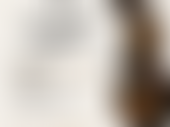 Vintage Theme Restaurant in Hyderabad: Experience Timeless Dining at Antique Kitchen and Bar