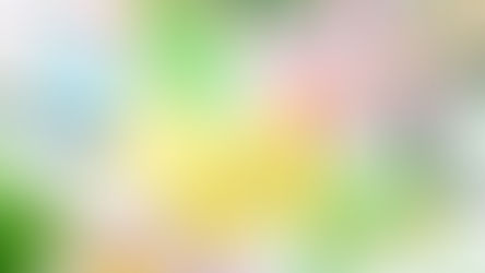 Wix制作の費用相場