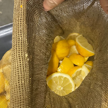 gin citron