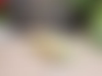 Le Panuozzo... Un sandwich maison d'inspiration street food italienne 👌