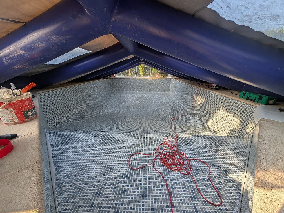 Piscine terrasse bois petit carreaux, remplacement membrane Meylan.jpg