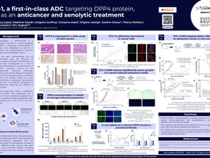 STX-1, a first-in-class ADC targeting DPP4 protein, acts as an anticancer andsenolytic treatment
