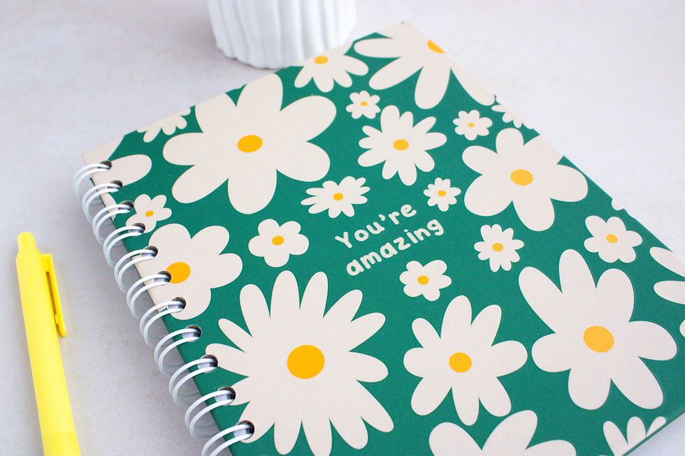 Miniatura: Cuaderno "You're Amazing"