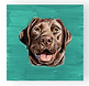 IMG_1131 copy 6.heic-4.png
