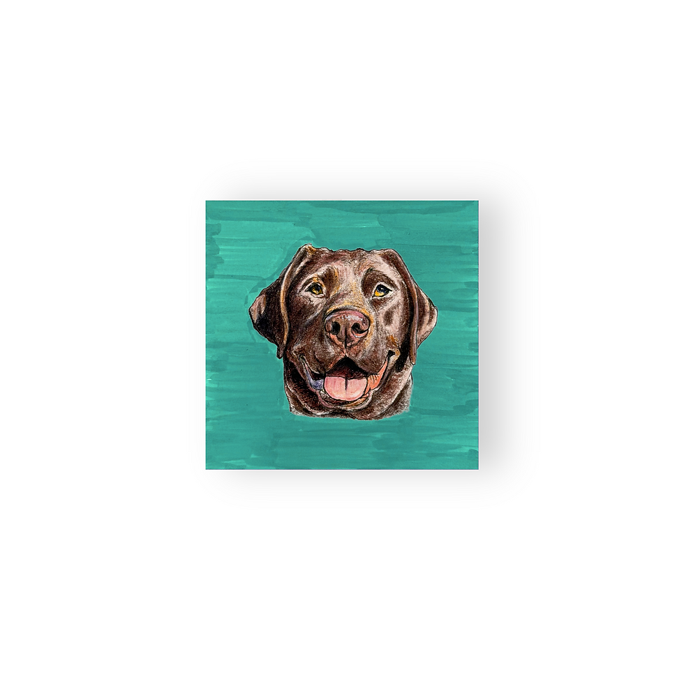 Thumbnail: the pocket portrait