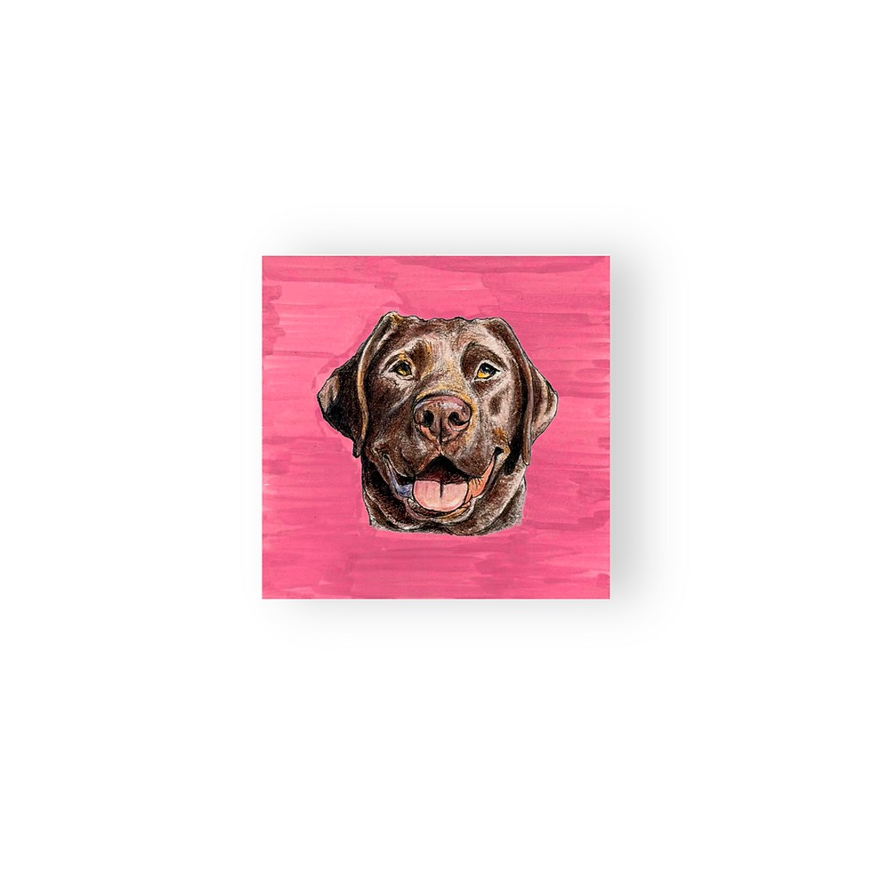 Thumbnail: the pocket portrait