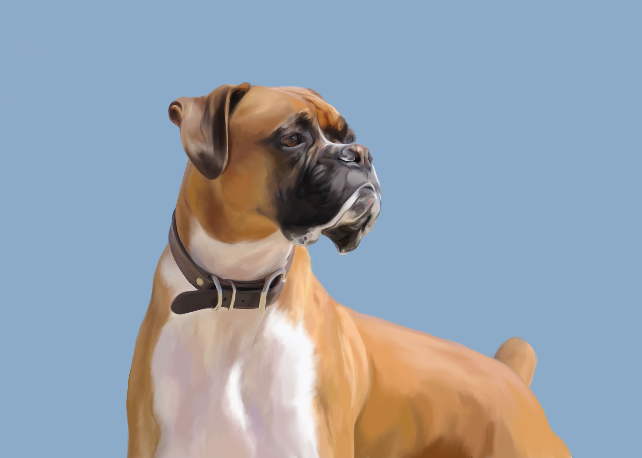 boxer at the beach print