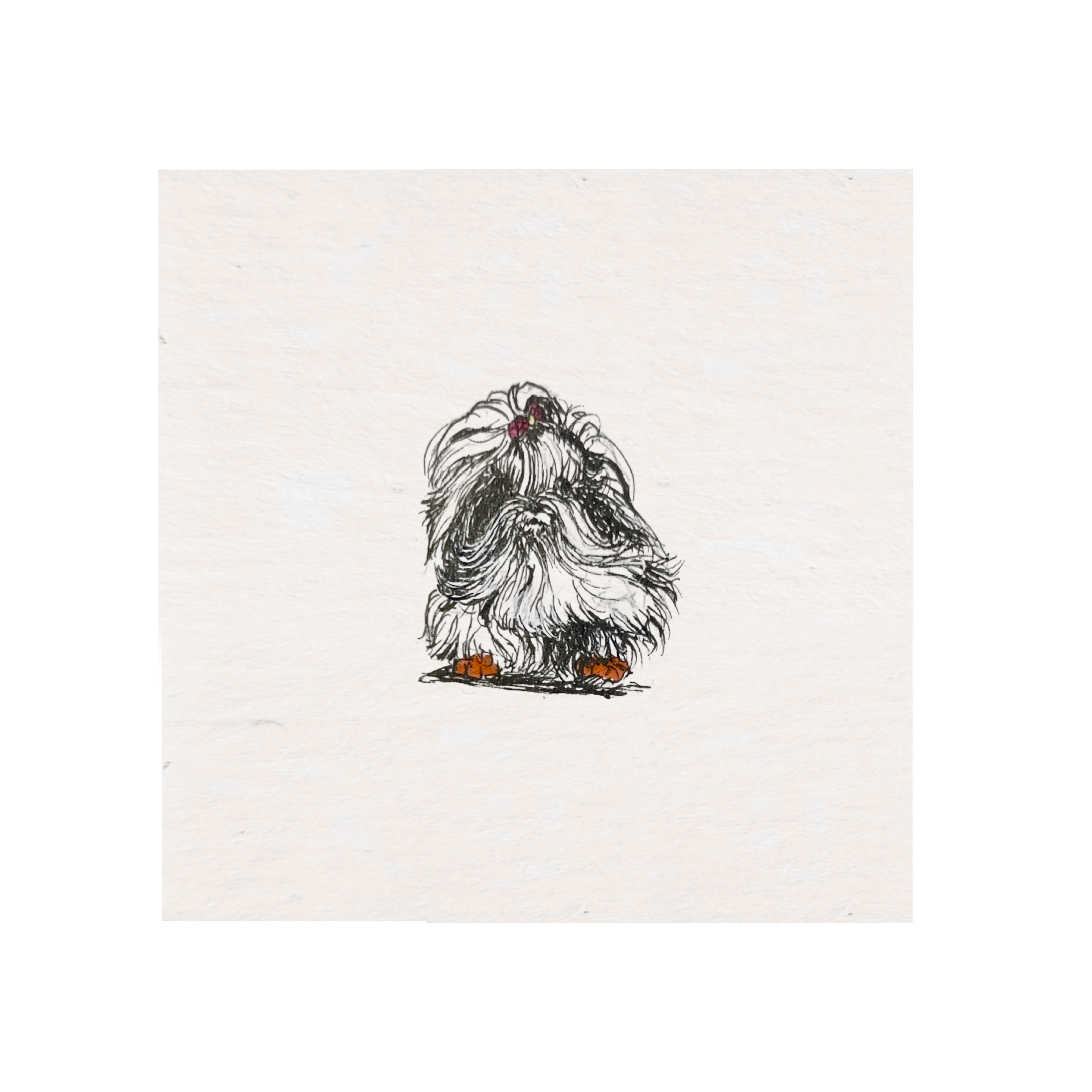tiny majesty