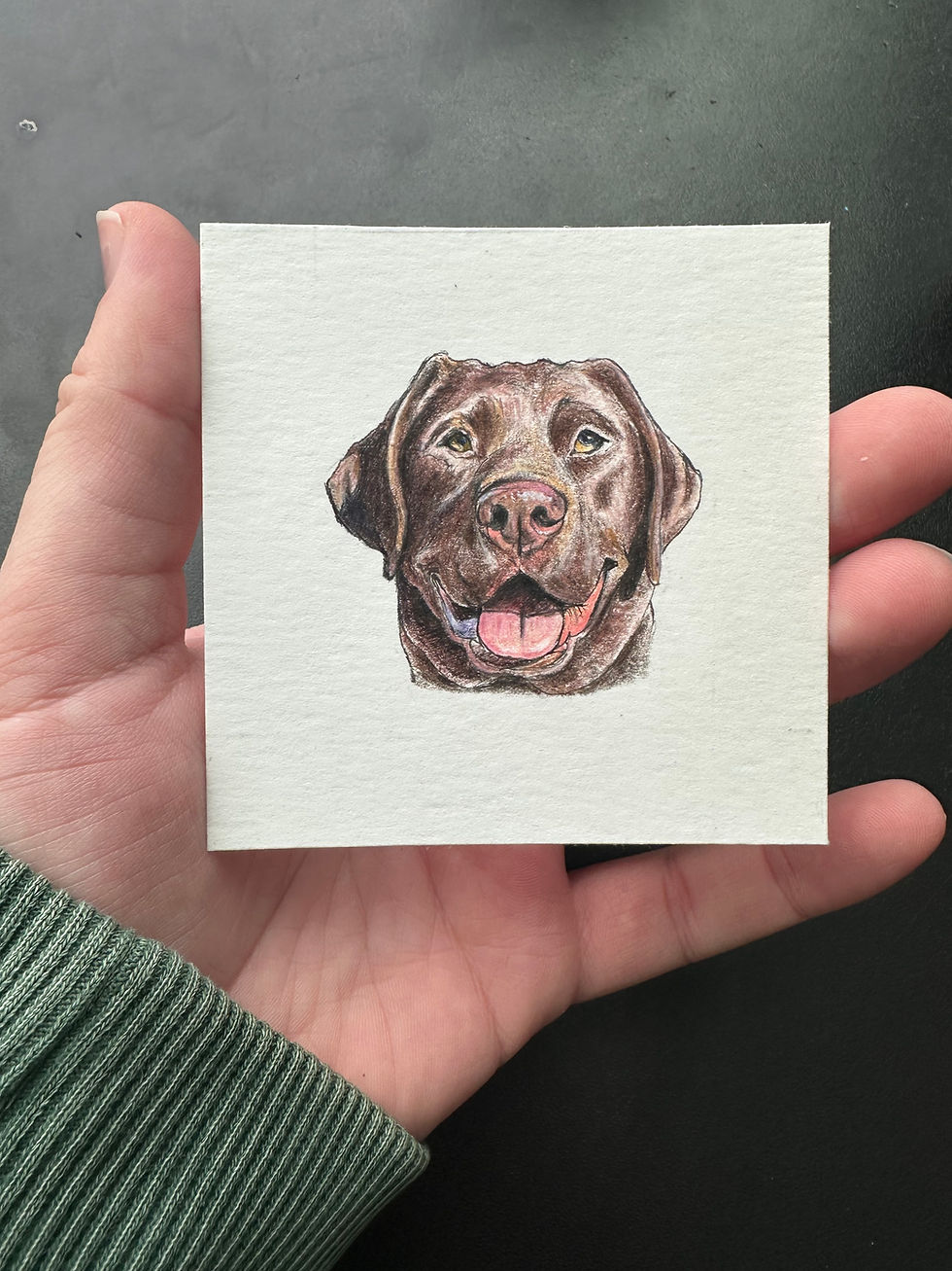 Thumbnail: the pocket portrait