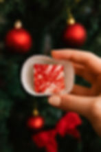 WhatsApp Image 2025-11-24 at 08.48.50.jpeg