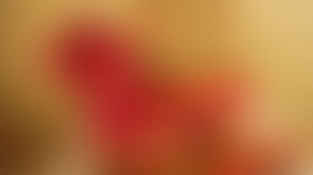 Buy Couture Fashion and Resale