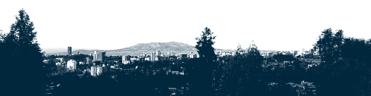 Debol Anbessa page header blog.gif