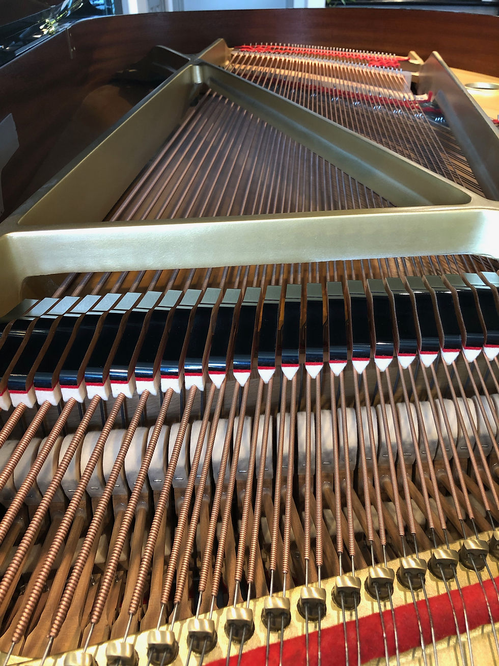 Thumbnail: Yamaha G5 Grand Piano