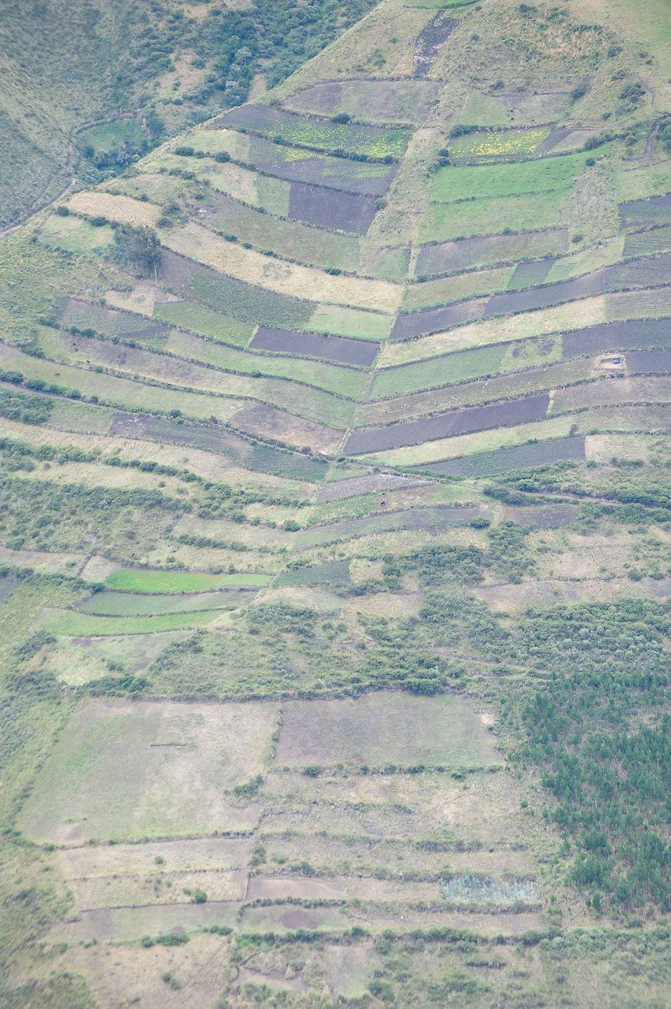 Thumbnail: LANDSCAPES (Open Edition)