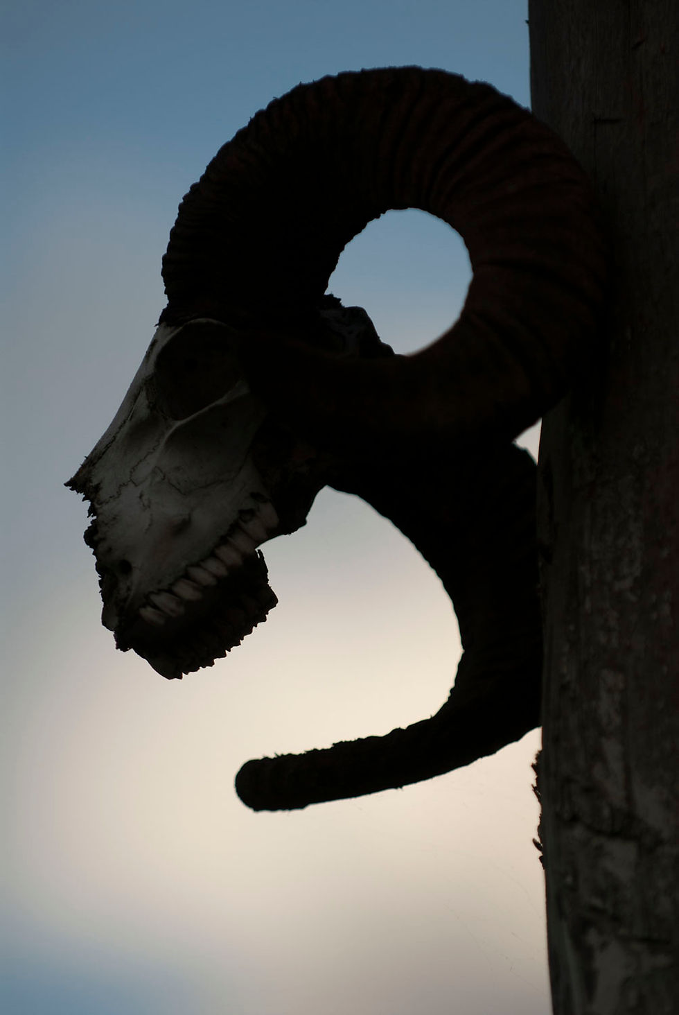 Thumbnail: SOUTH AMERICA