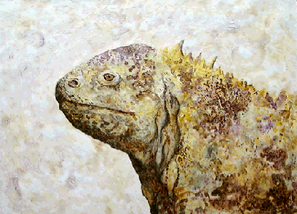 chamaeleon