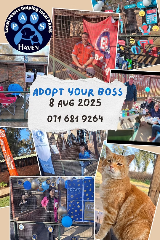 Image : Facebook PAWS Haven