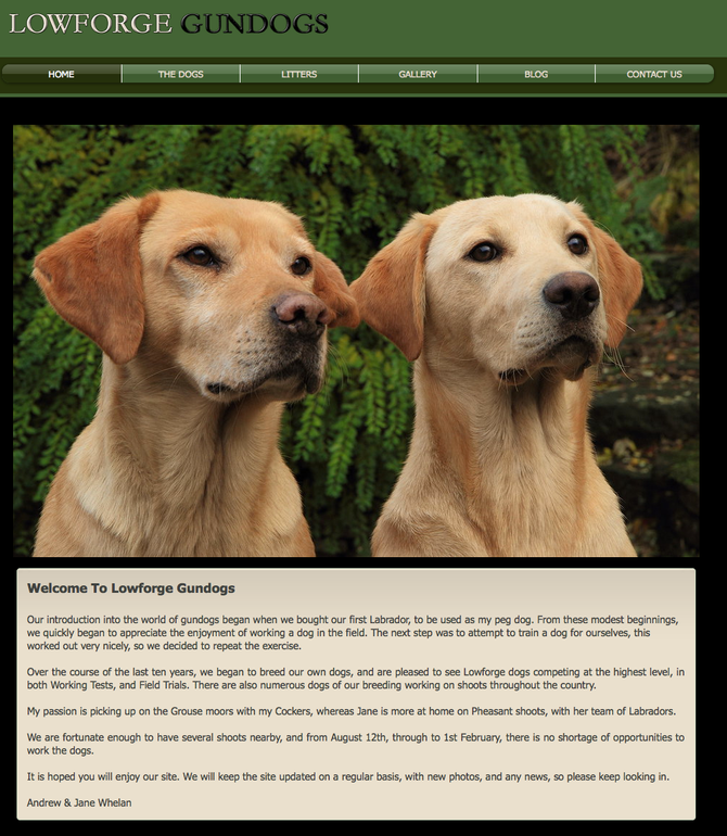 NEW WEBSITE LAUNCHED