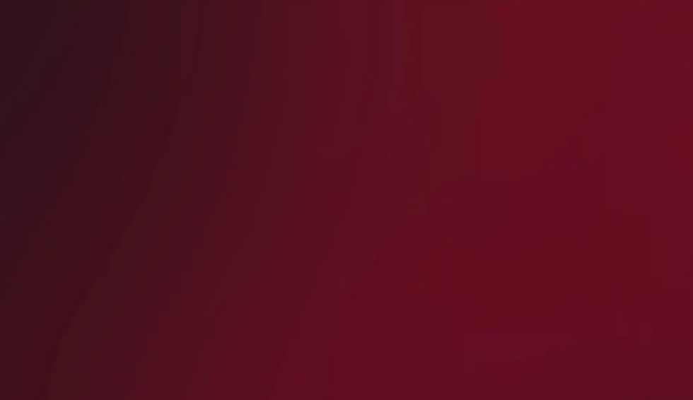 Screen Shot 2022-08-04 at 3.20_edited.jpg