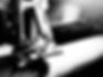 IMG_2230.jpeg