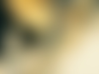 世界の書籍の6割以上を2つの家族が刷っている理由-著作権法が生み出す468年のシェア率-