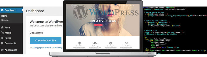Comprehend the Reasond Behind the Popularity of Wordpress CMS Development services